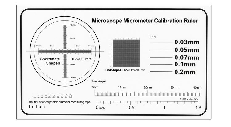 Microscopio digitale USB 1600x 2Mpix WB265 