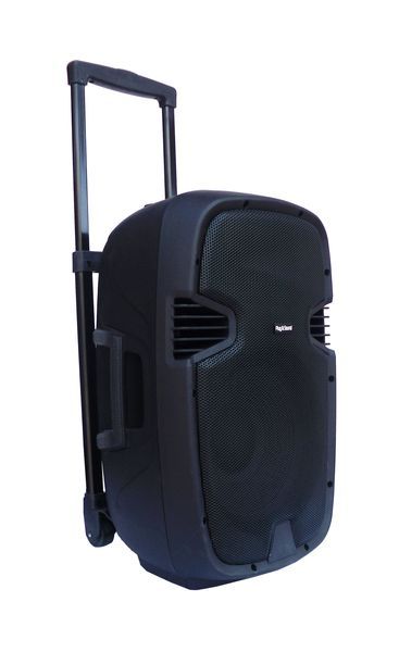 Cassa acustica amplificata con maniglia e ruote USB/SD/Bluetooth 350W 12" KP-128 