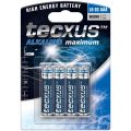 Batteria al manganese alcalino 1,5V LR03/AAA F1424 Tecxus