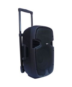 USB/SD/Bluetooth Amplified Speaker 350W 12" KP-128 