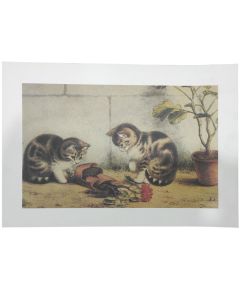 Stampa 35x25cm Gatti con vaso rotto 01066 