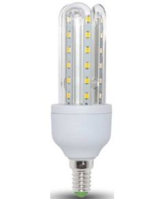 Lampada LED 5W 6000k luce fredda 430lm E14 EL2587 