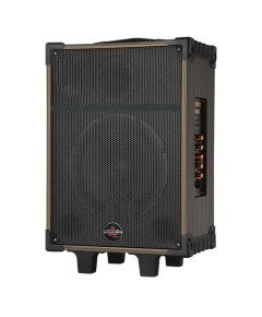 Portable rechargeable trolley speaker 10" 80W Bluetooth/SD/USB D-10 