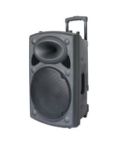 Cassa acustica amplificata 12” con microfono e telecomando Bluetooth/Radio FM ND-12 WEB