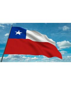 Bandera Nacional de Chile 200x300cm FLAG065 