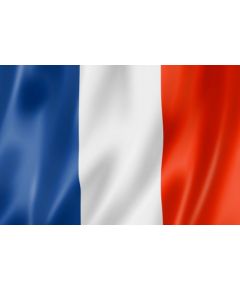 Bandiera Nazionale Francia 80x135 cm FLAG195 