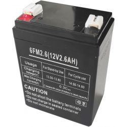 12V 2600mAh rechargeable lead-acid battery WB2299 