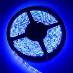 Striscia flessibile LED Blu SMD 5 metri LED647 