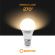 LED Birnenlampe A60 10W mit E27 Fassung - warmes Licht 5747 Shanyao