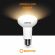 Lampe spot à LED R63 E27 8W - lumière chaude 5817 Shanyao