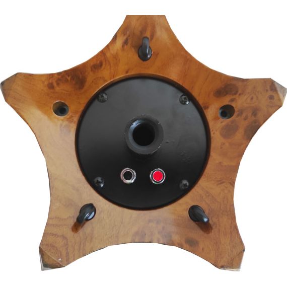 Omnidirectional speaker 10x4 "160W 8 Ohm wood color STAR10BS 