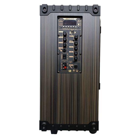 Portable rechargeable trolley speaker 12" 80W Bluetooth/SD/USB D-12 