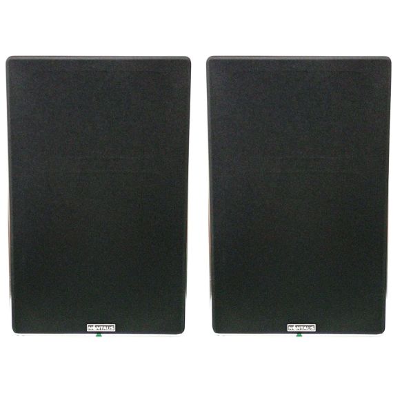 Coppia casse acustiche 180W 8OHM NINTAUS ZM-82M ZM82M 