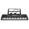 Tastiera musicale per principianti 54 tasti con microfono ingressi AUX/USB WB990 