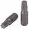 Inserto Torx T30 25mm WB296 