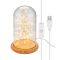 Glass bell with Goobay micro LED light chain F1722 