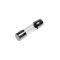 Fusibile ritardato 250V 5x20mm 1A confezione da 10 90844 
