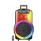 12" trolley speaker Bluetooth/SD/USB/Radio LED light Q1218A WEB