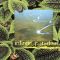 CD Musicale - Infinite paradise - nature.insight CD135 